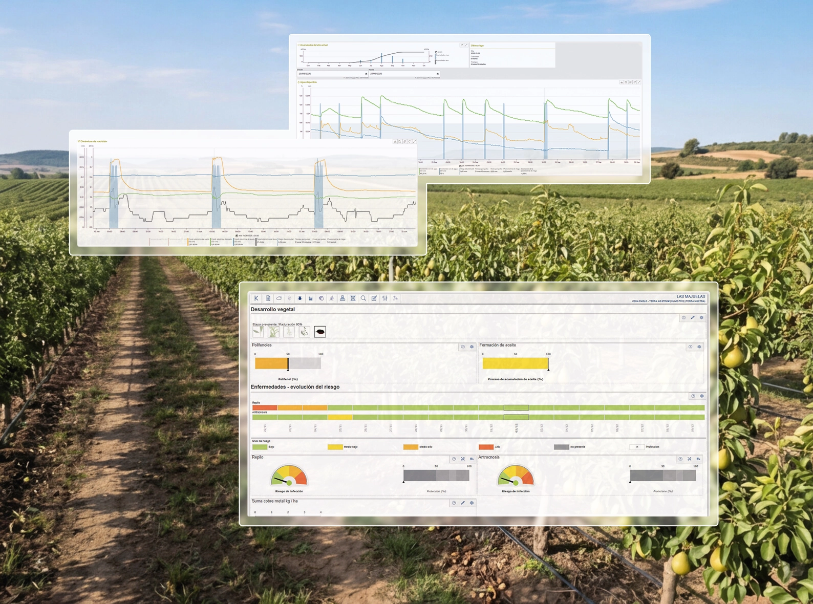Plataforma agrícola adaptada a negocio con Vegga.