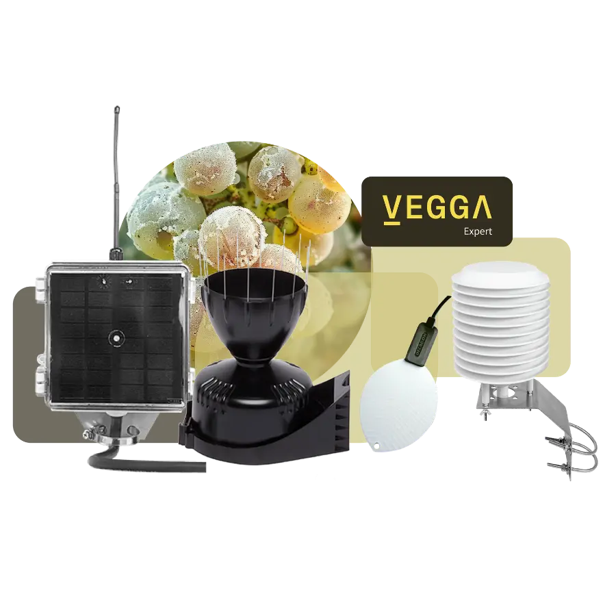 Pack de sensores AgroBeeSens para detección de plagas y enfermedades con soluciones digitales de Vegga.
