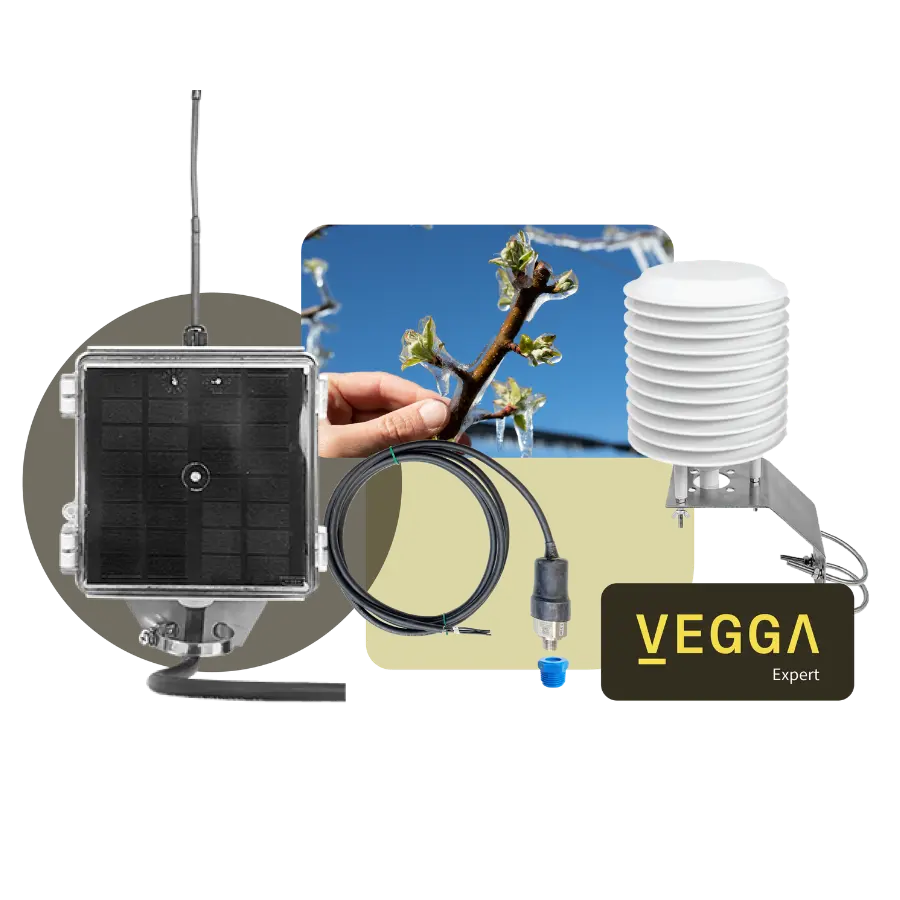 Packs AgroBeeSens para vigilancia de heladas con Vegga.