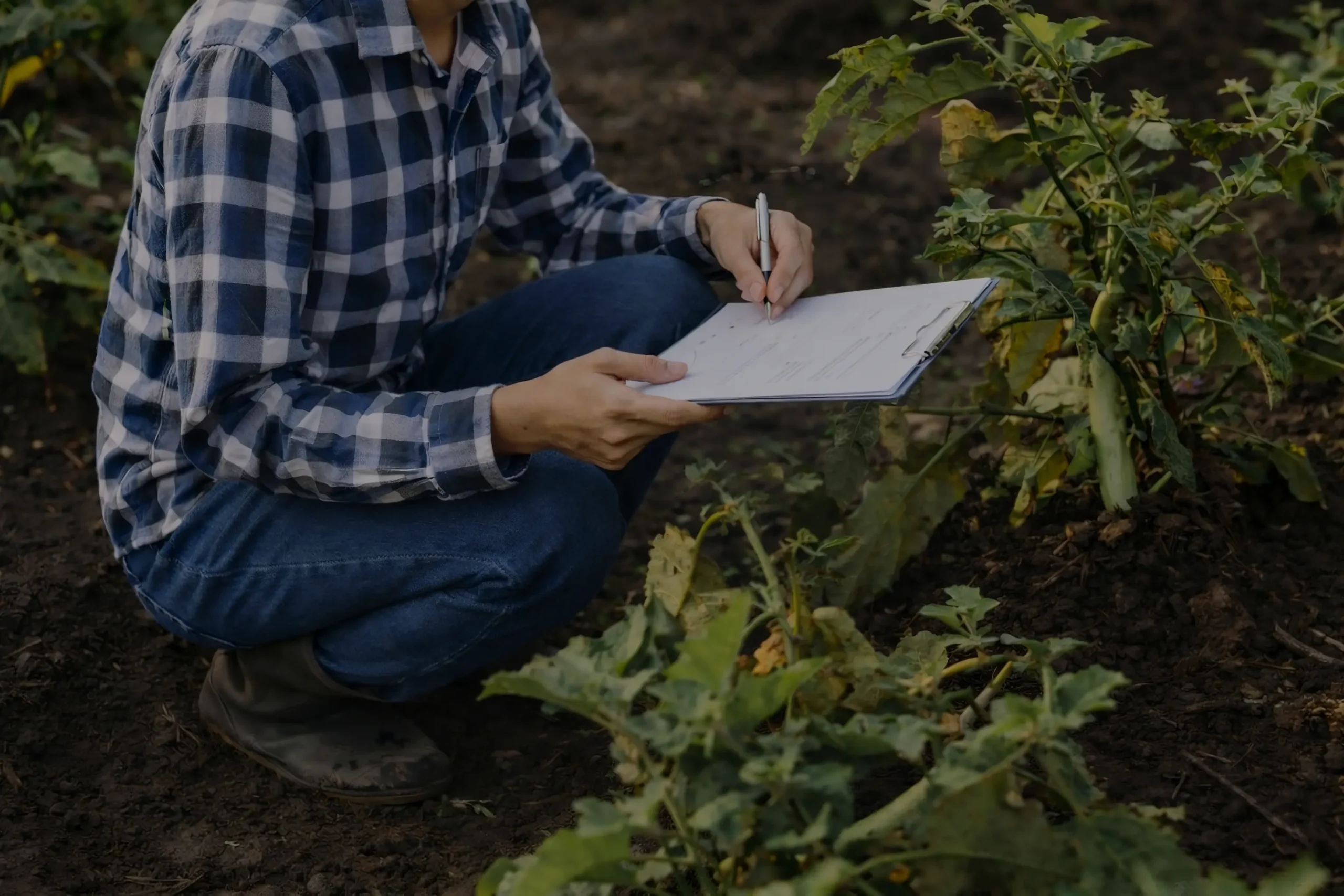 Asesor de cooperativa agrícola con soluciones digitales de Vegga.