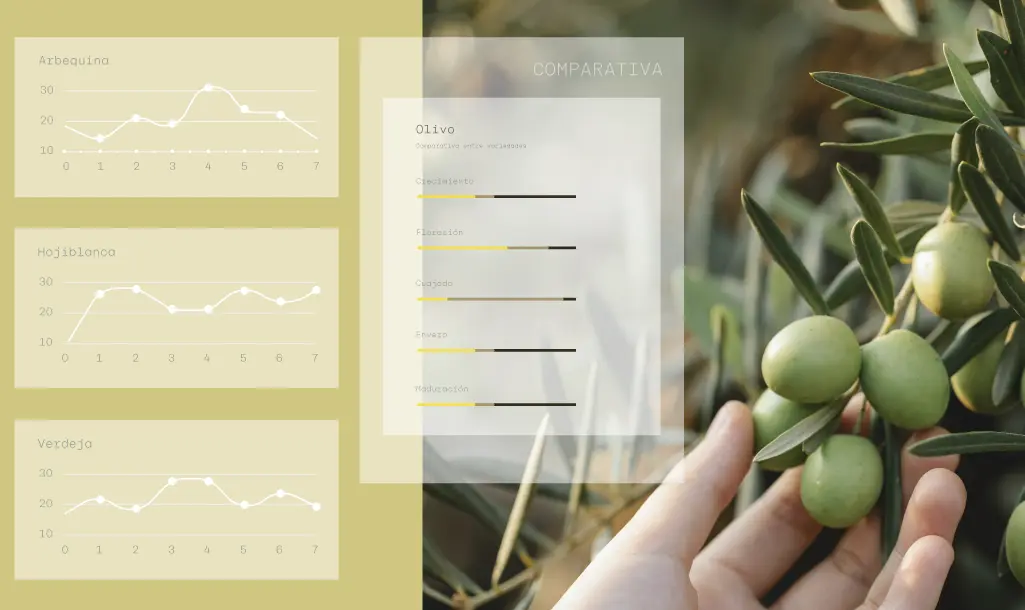 VEGGA como evolución de AgronicWeb en agricultura digital.