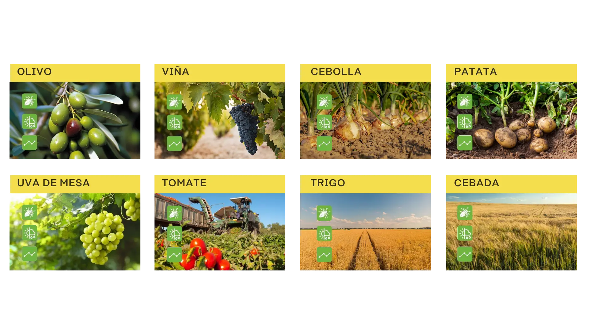 Gestión de la protección de cultivos con monitorización, seguimiento y control de tratamientos agrícolas