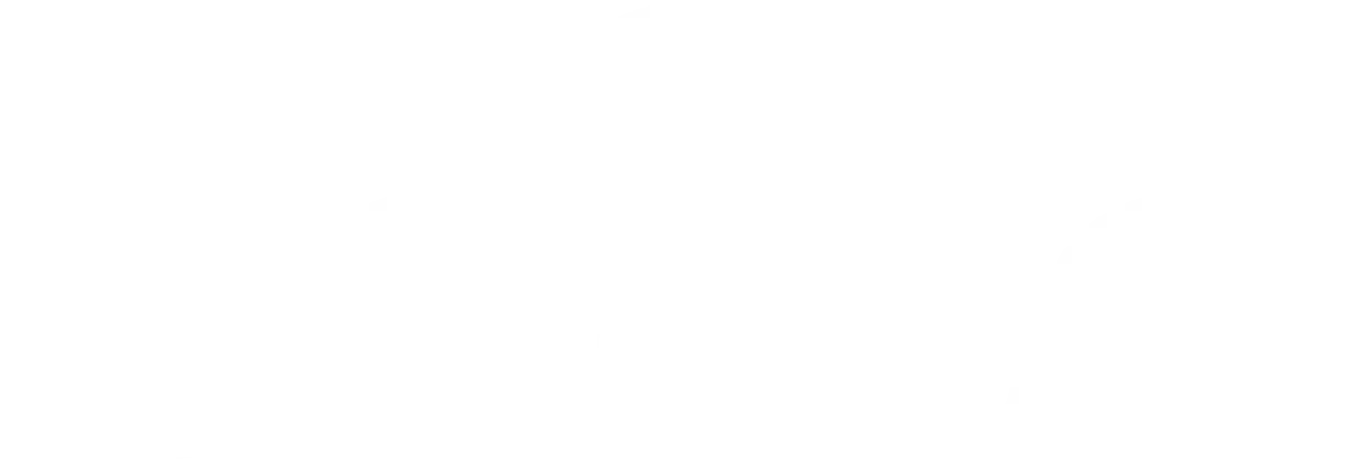 Logo-bollo-white