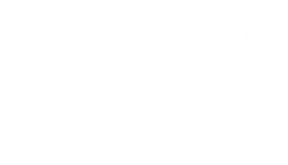Logo-espax-white