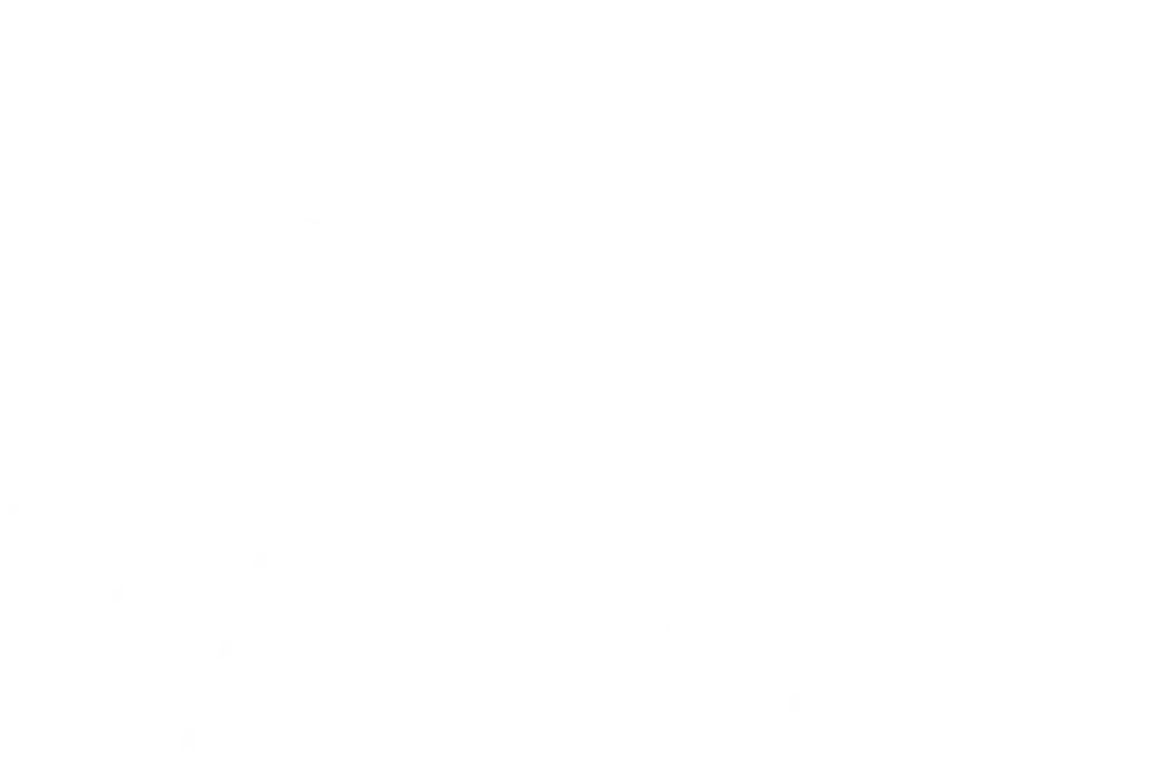 Logo-raimat-white