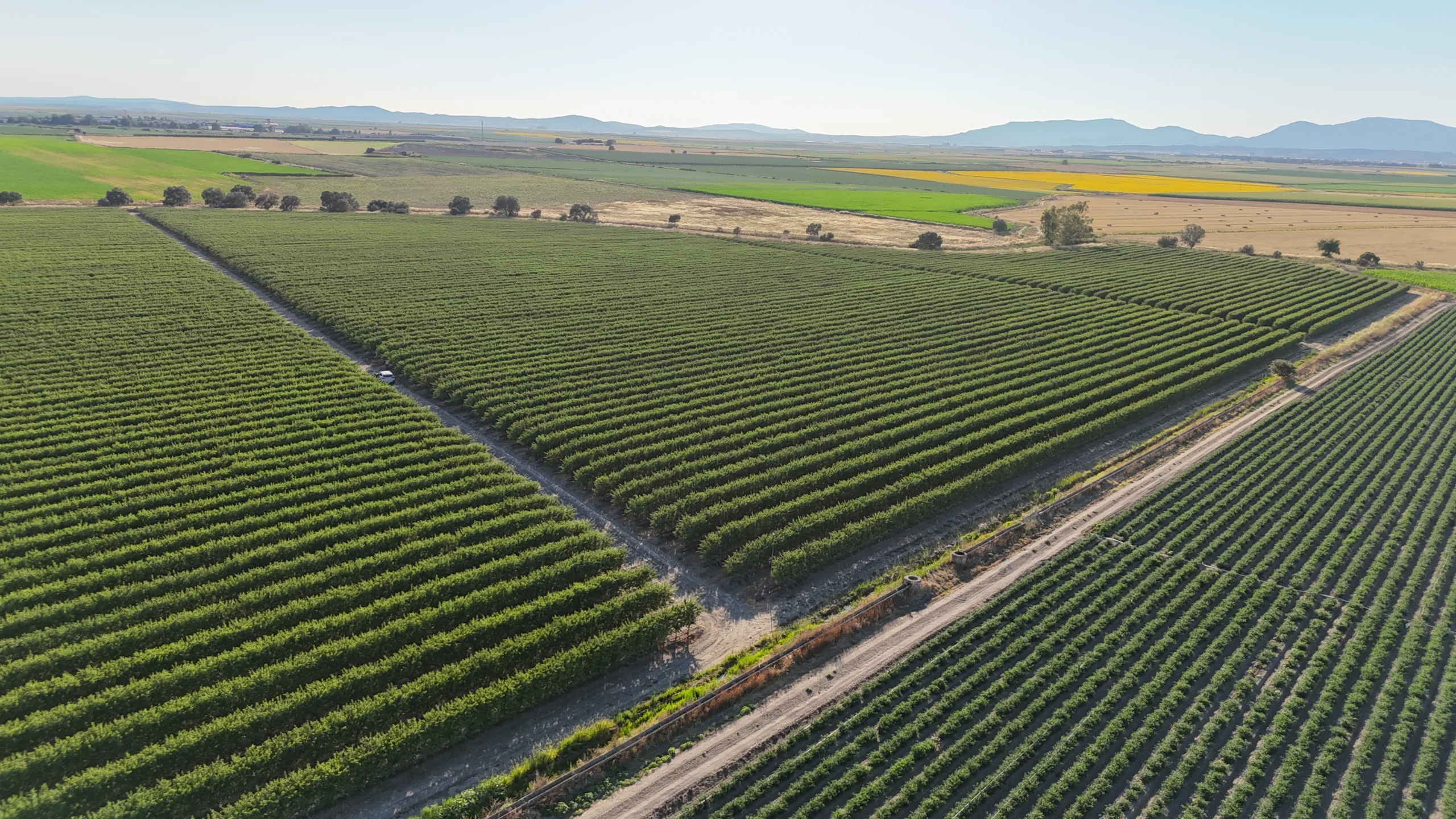 Caso de éxito Terranostra en agricultura con tecnología digital.