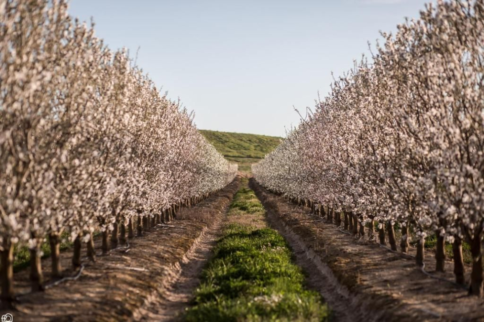Caso de éxito ISFA en agricultura de precisión con tecnología digital.