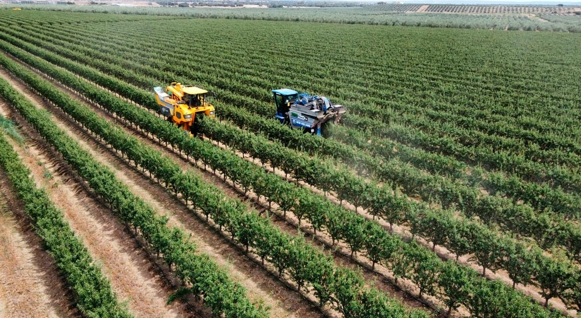 Caso de éxito ISFA en agricultura de precisión con tecnología digital.