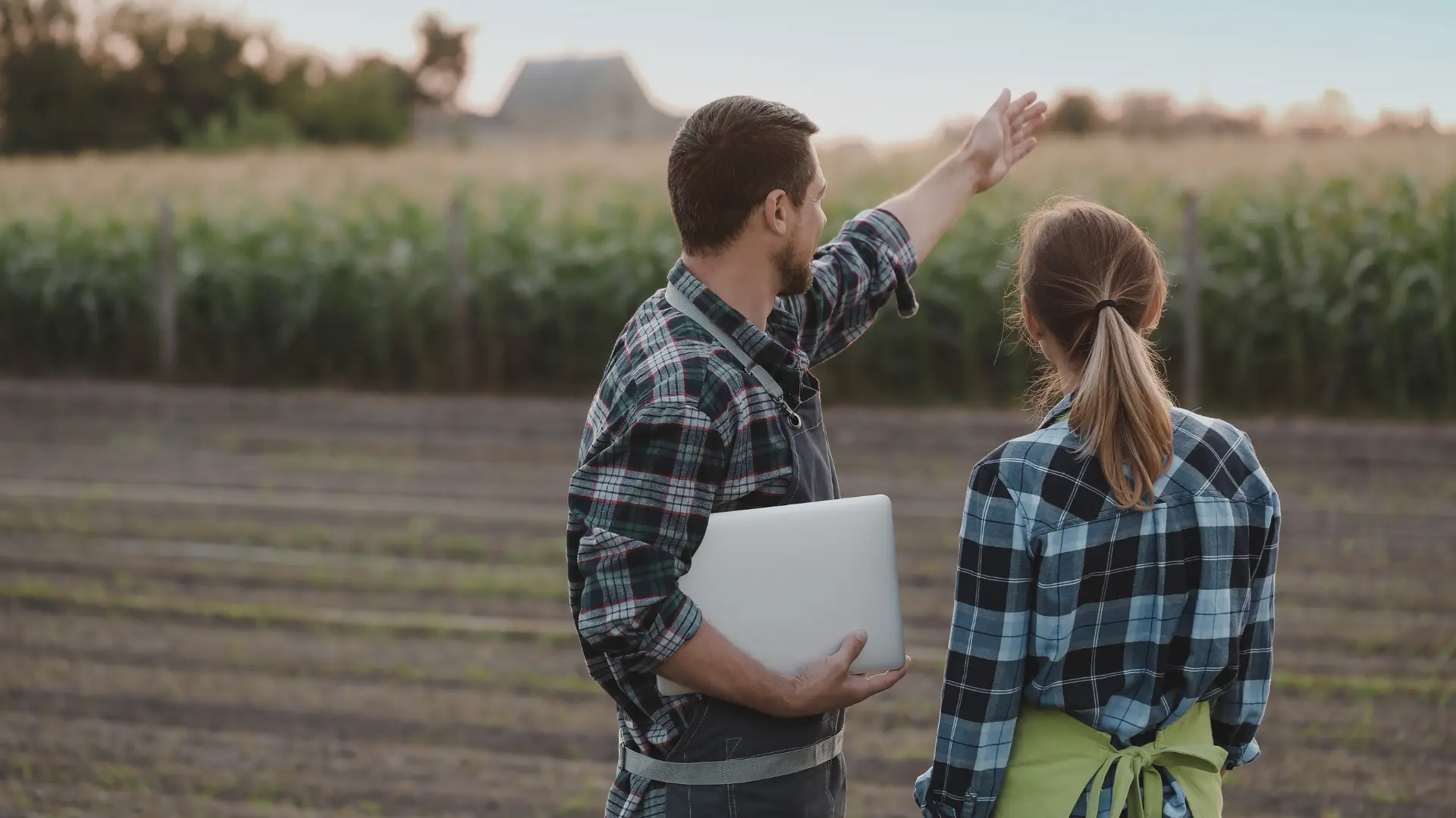 Servicio de digitalización de fincas agrícolas con Vegga.