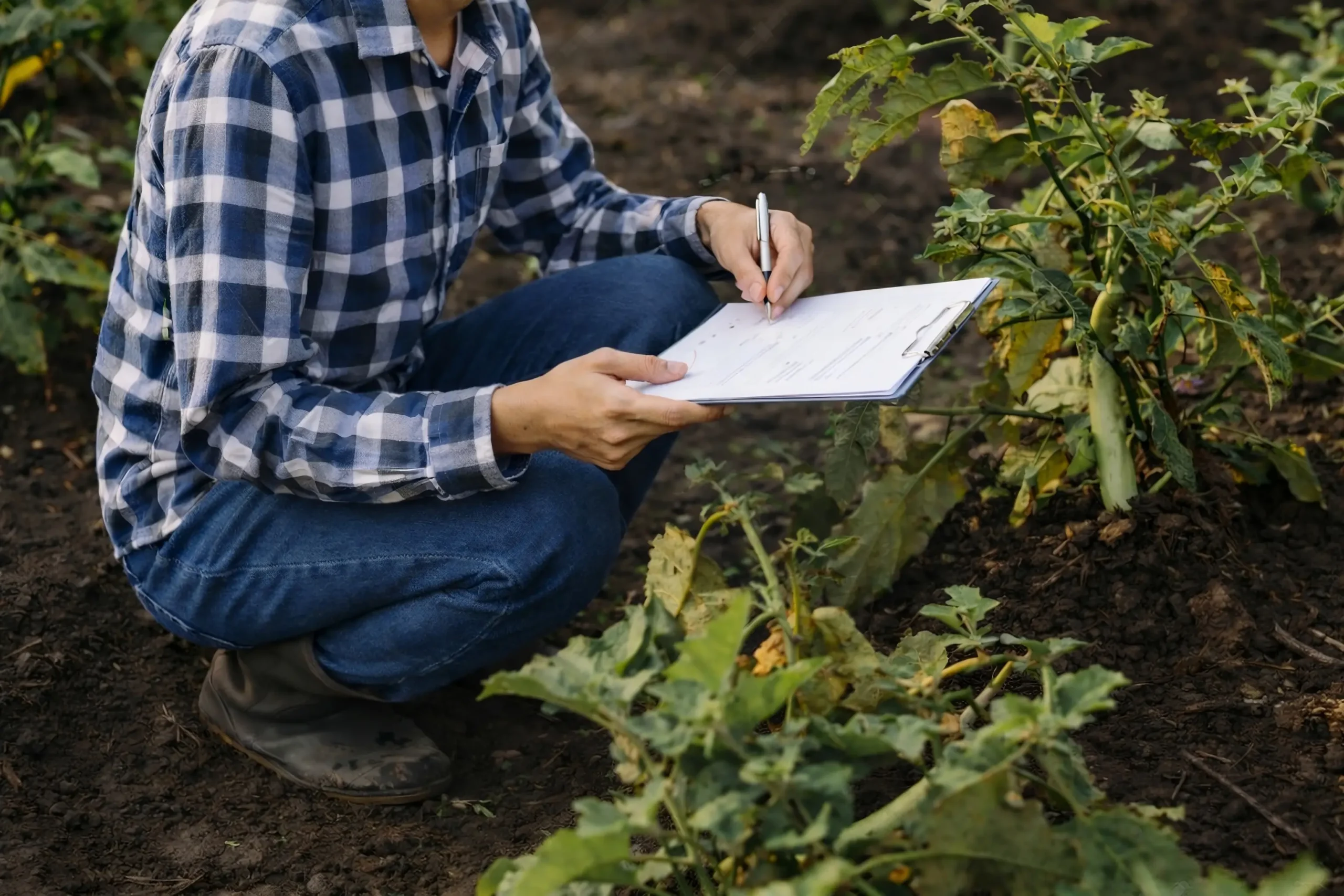 Asesor de cooperativa agrícola con soluciones digitales de Vegga.
