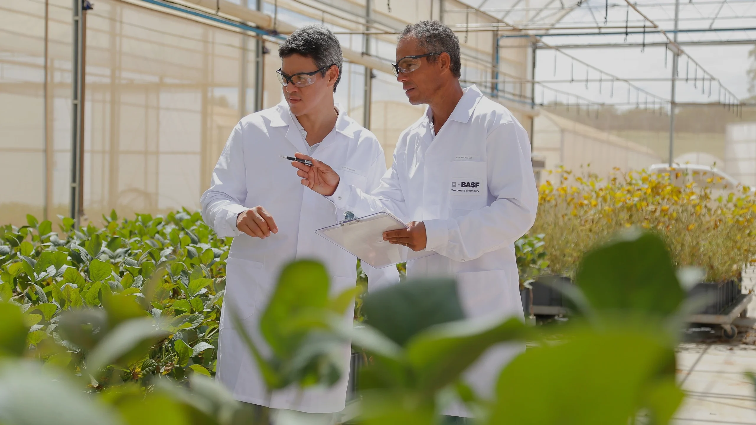 Agricultura digital de BASF con la plataforma Agrigenio.