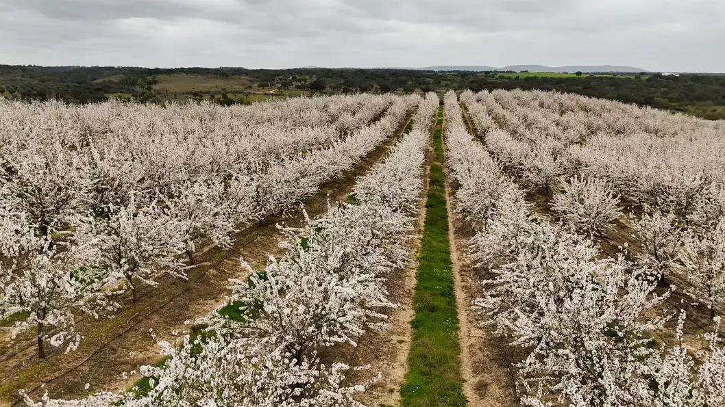 Caso de éxito Duck River en agricultura con tecnología digital.