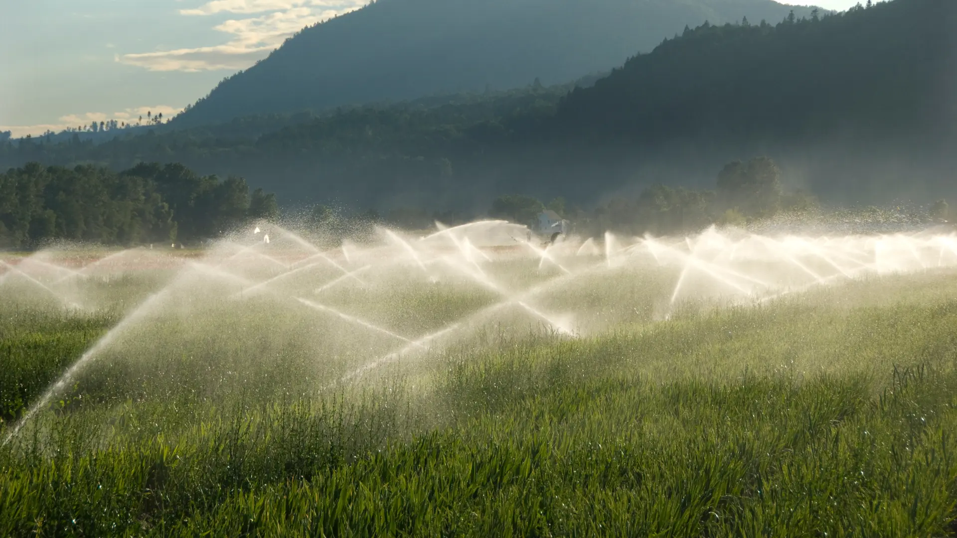 Eficiencia hídrica en agricultura de precisión con IRTA Irridesk.