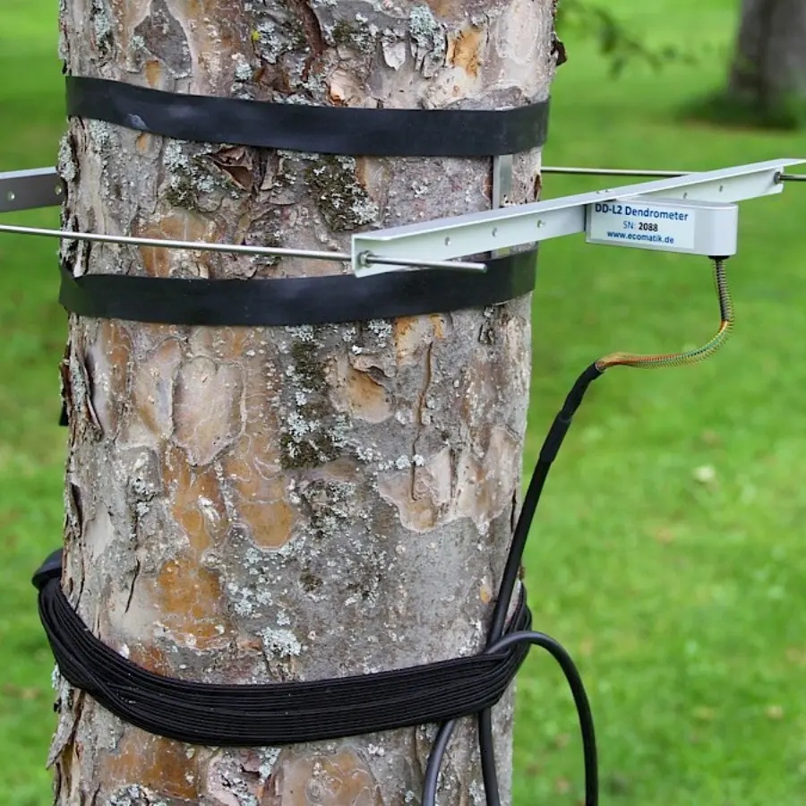 Dendrómetro de tronco para monitorización del crecimiento del cultivo con Vegga.